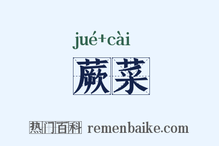 蕨菜是什么意思的图片